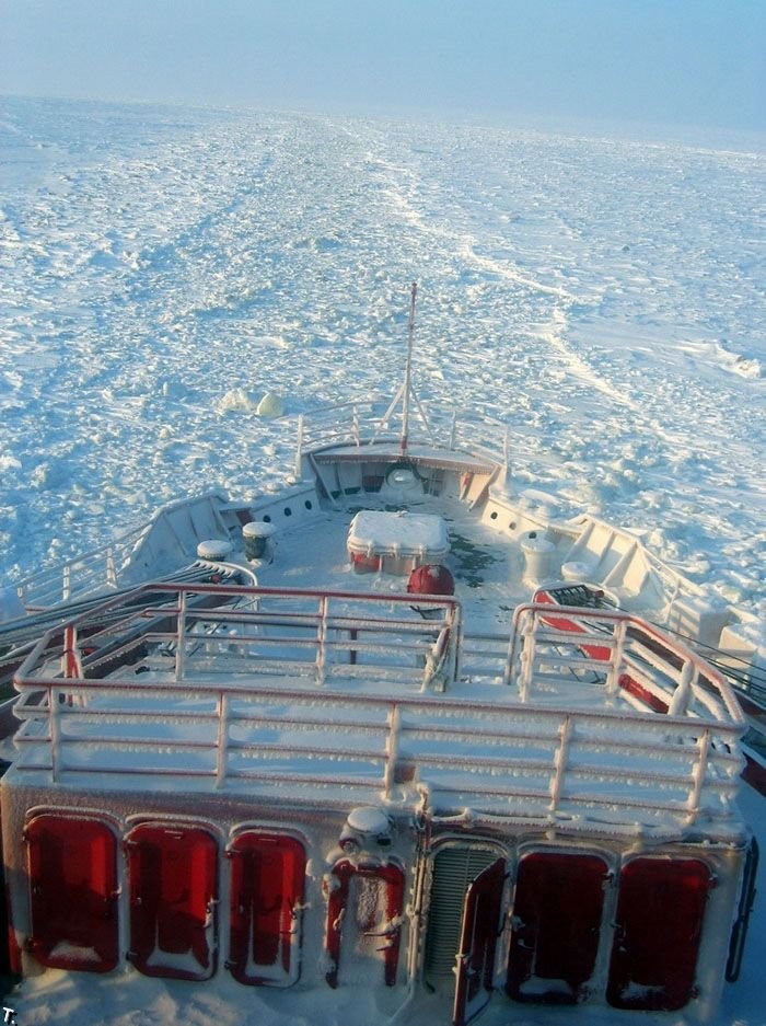 Наши в Арктике (50 фото)