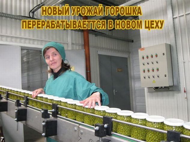 Быховский консервно-овощесушильный завод (9 картинок)