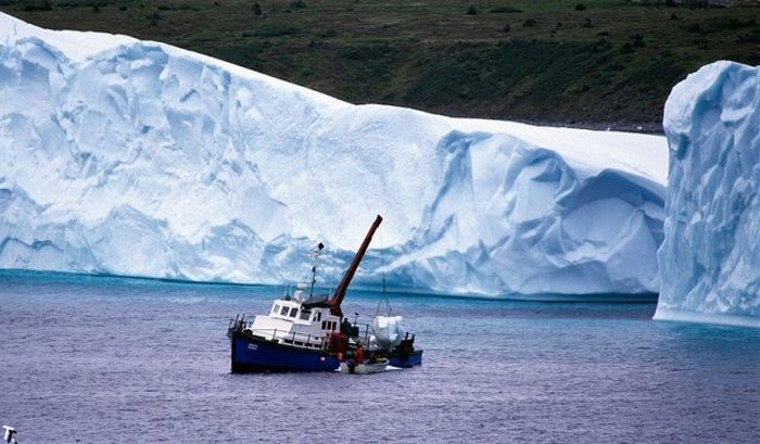 Красота айсбергов (110 фото)