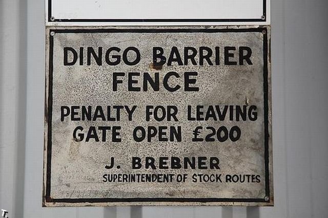 Австралийский забор защиты от Динго (12 фото)