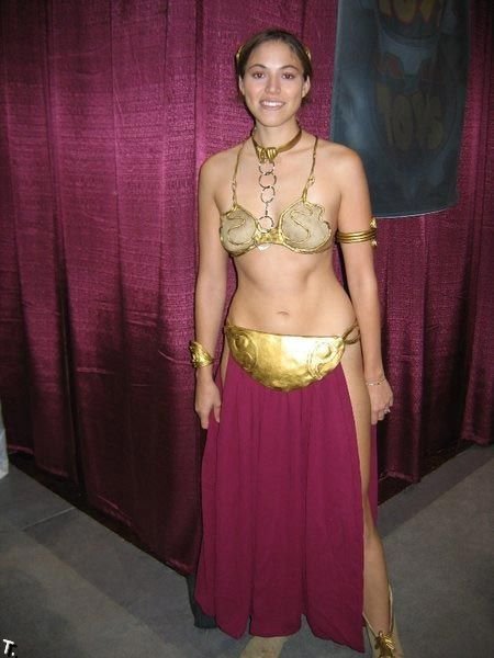 Сексуальные костюмы на Хэллоуин - Принцесса Лея (52 фото)
