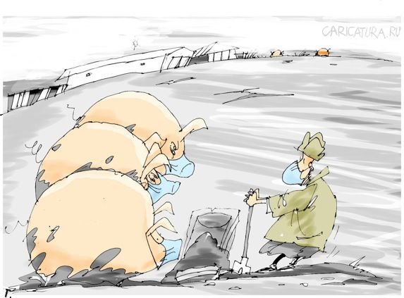 Карикатуры про свиной грипп (31 картинка)