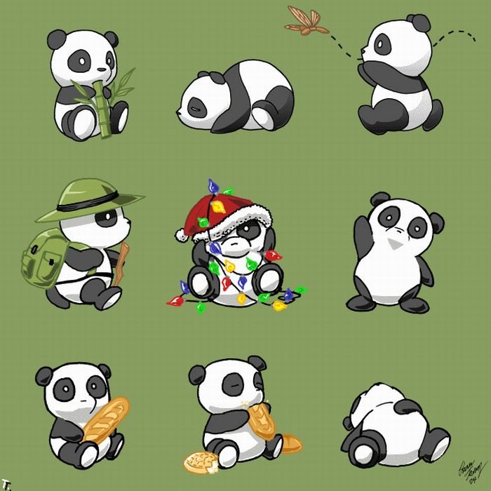 Смешные панды (25 фото)