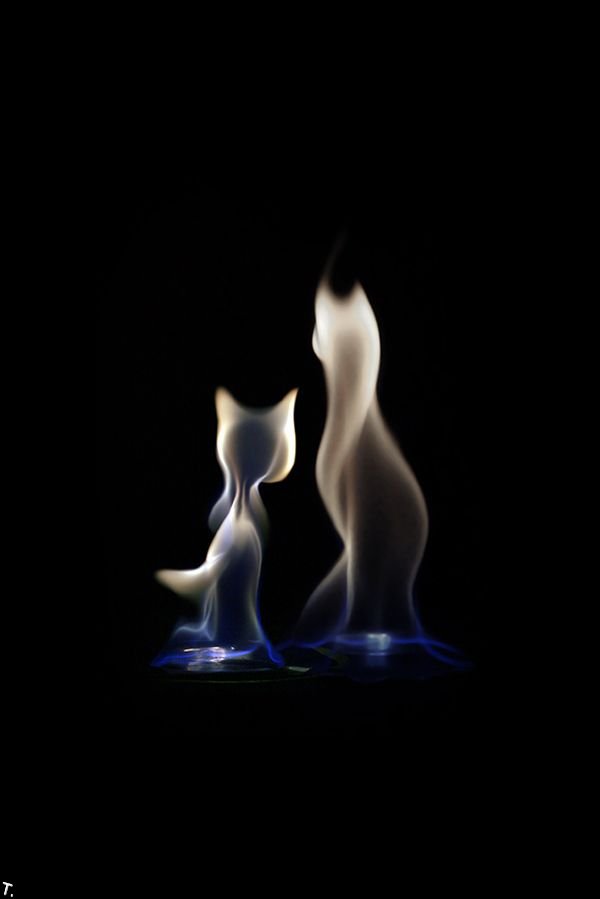 Искусство огня (11 фото)