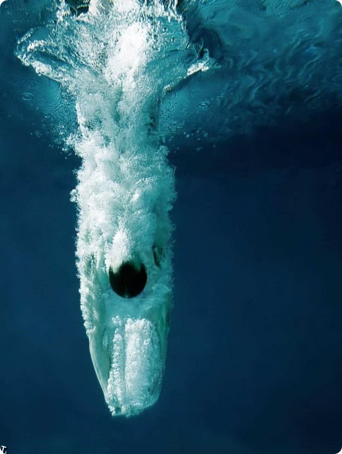 Красивые подводные фотографии (13 фото)