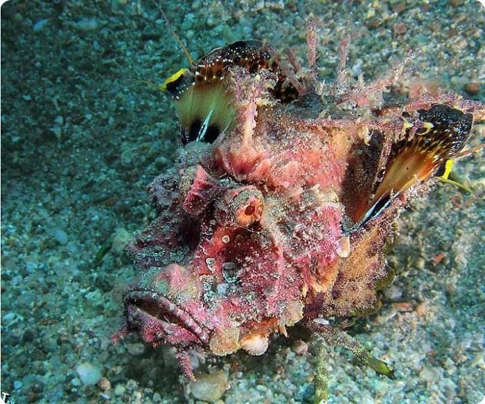 Красивые подводные фотографии (13 фото)
