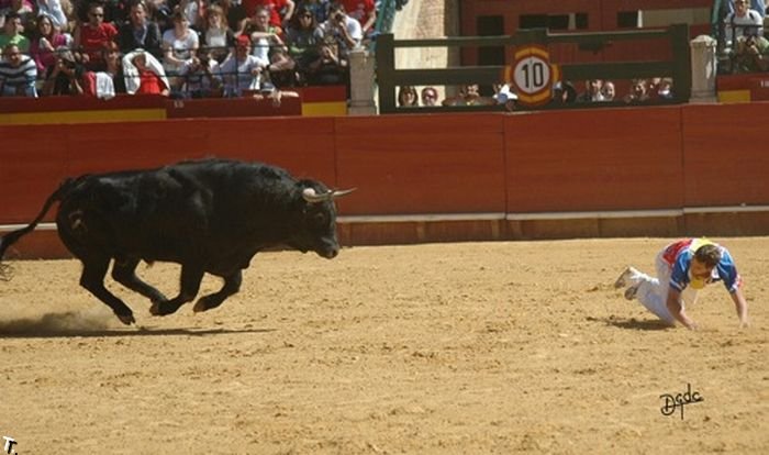 Рекортадоры Испании (36 фото)