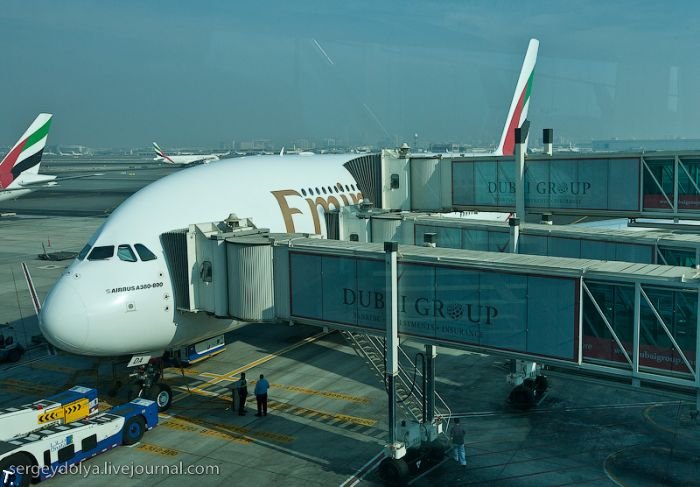 Фантастический самолет Airbus A380 (48 фото)