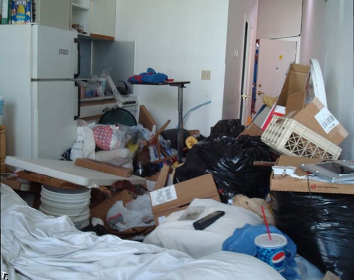Самые грязные квартиры и дома США (28 фото)