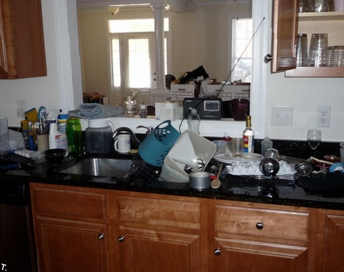 Самые грязные квартиры и дома США (28 фото)