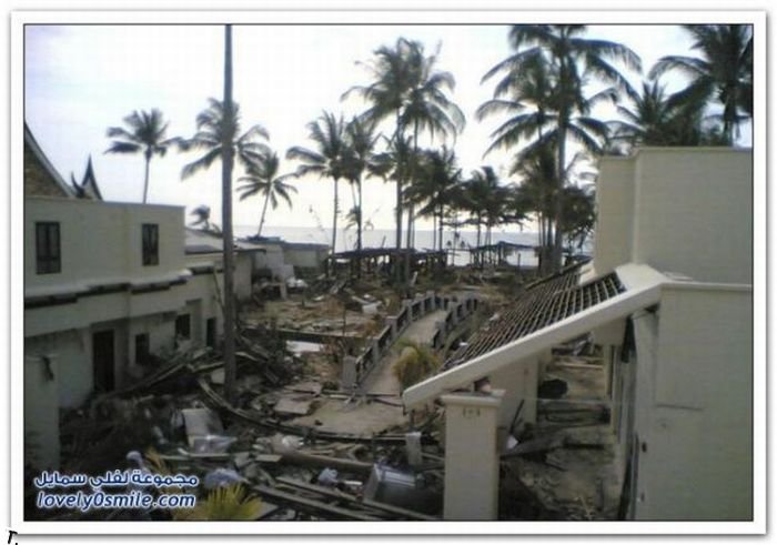 До и после цунами (29 фото)