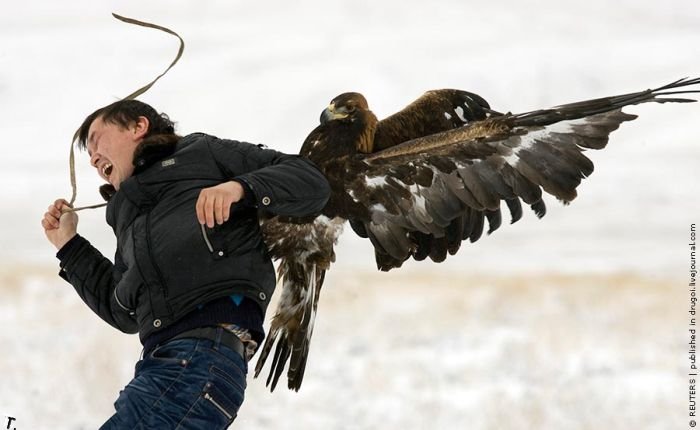 Птичья охота в Казахстане (9 фото)