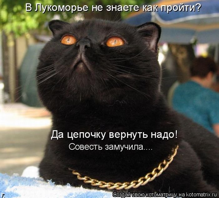 Лучшие котоматрицы 2009 года (50 фото)