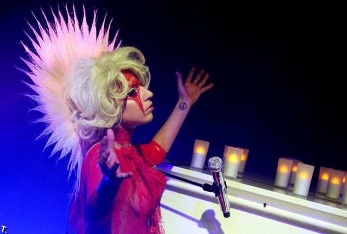 Lady Gaga - одна девушка, много стилей (23 фото)