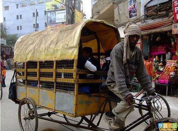 Школьные "автобусы" Индии (30 фото)