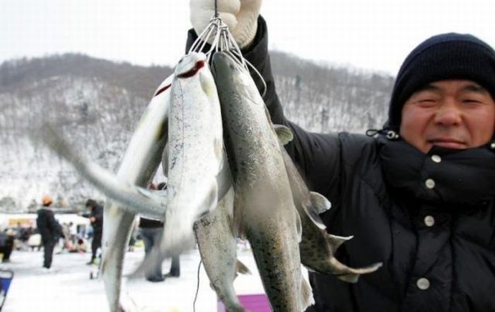 Рыбалка по-корейски (14 фото)