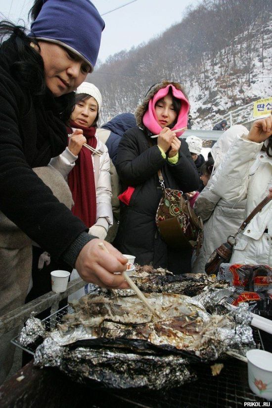 Рыбалка по-корейски (14 фото)