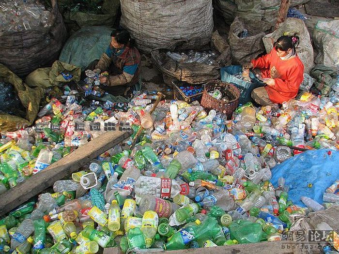 Свалка пластиковых бутылок (9 фото)