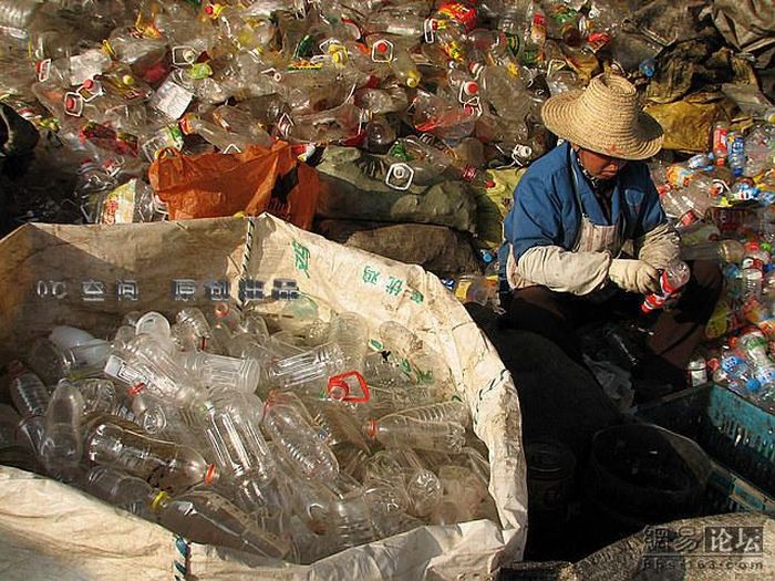 Свалка пластиковых бутылок (9 фото)