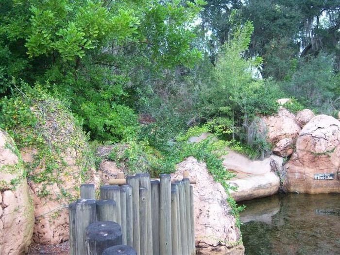 Заброшенный аквапарк в Walt Disney World (58 фото)