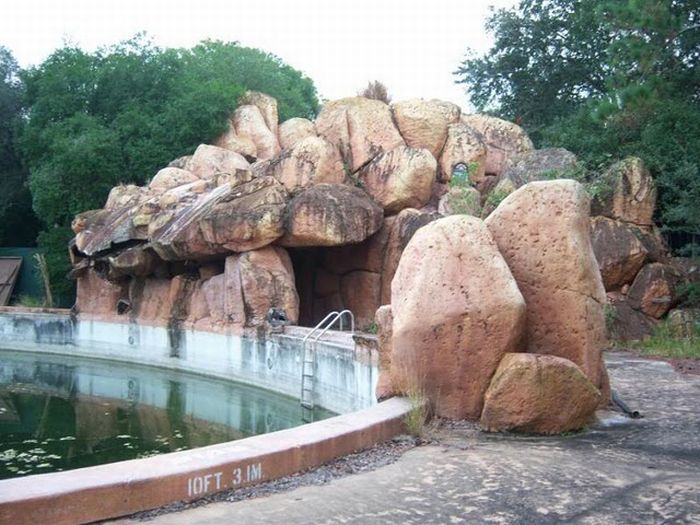 Заброшенный аквапарк в Walt Disney World (58 фото)