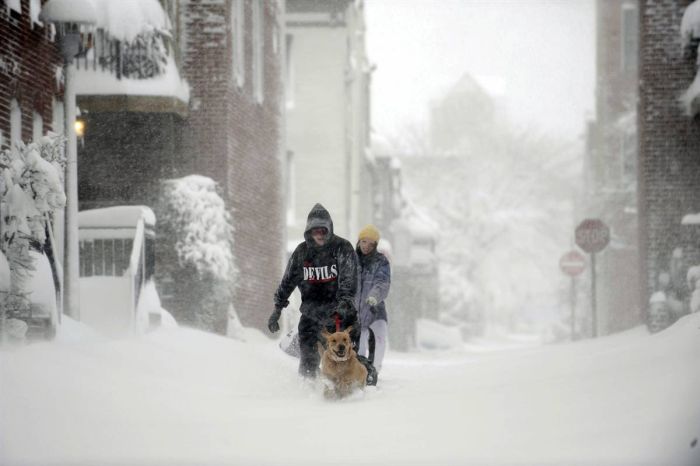 Вашингтон в снегу (27 фото)