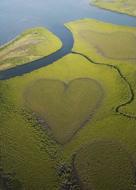 Природа рисует сердце (11 фото)