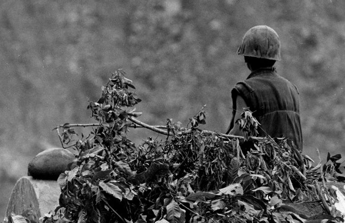 Война во Вьетнаме 1968-69 (51 фото)