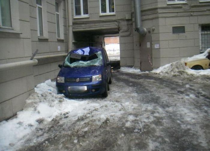 Машины, убитые снегом (18 фото)