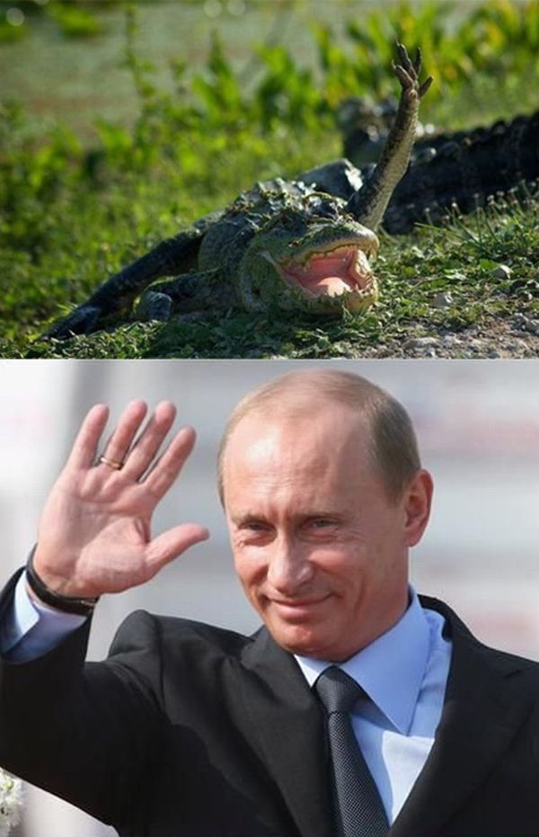 Привет, Путин (20 фото)