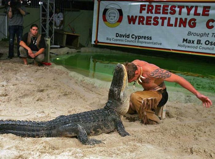 Игры с крокодилами (15 фото)