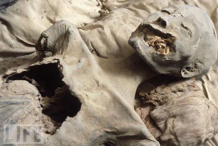 Знаменитые мумии (23 фото)