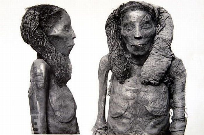 Знаменитые мумии (23 фото)