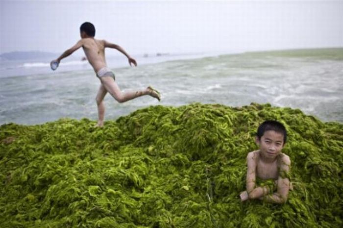 Дети в Китае (30 фото)