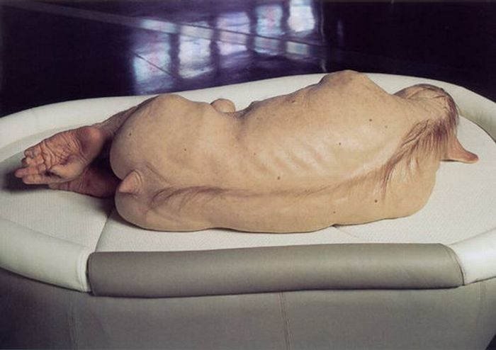 Самые необычные скульпуры Патриции Пиччинини (34 фото)