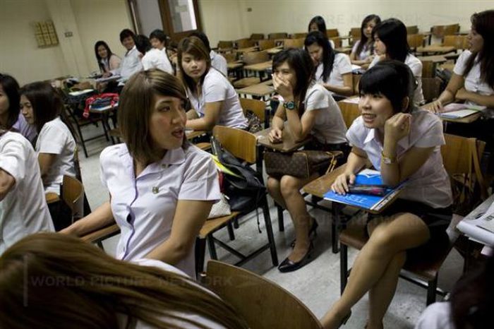 Студенты-транссексуалы в Таиланде (18 фото)