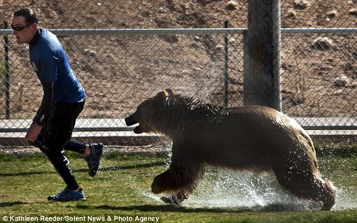 Работник зоопарка играет с медвежатами-гризли (6 фото)