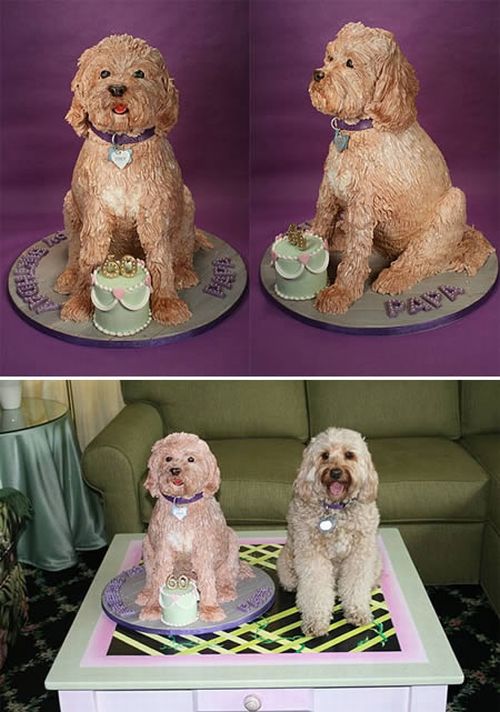 Торты в форме собак (12 фото)