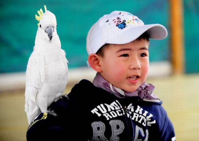 Птичья Олимпиада в Китае (13 фото)