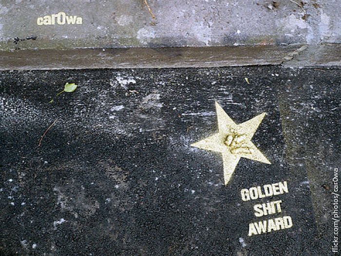 Golden Shit Award в Питере (8 фото)