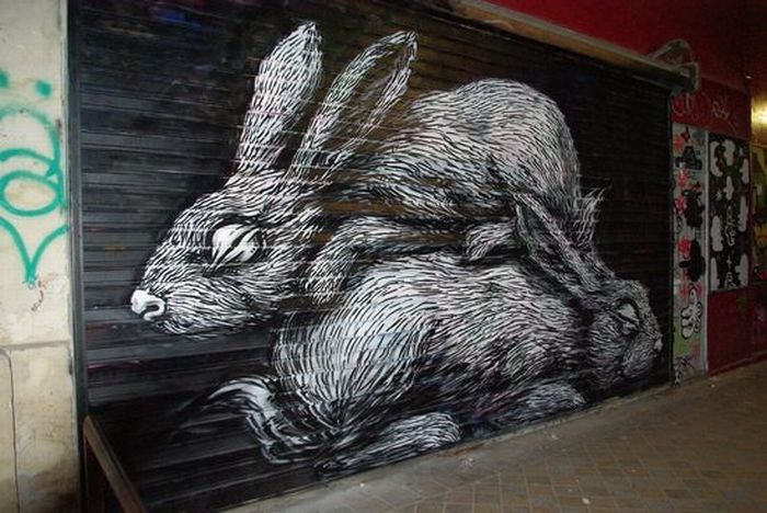 amazing_animal_graffiti_street_art_17.jp