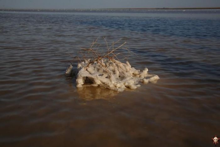 Самое соленое озеро России (20 фото)