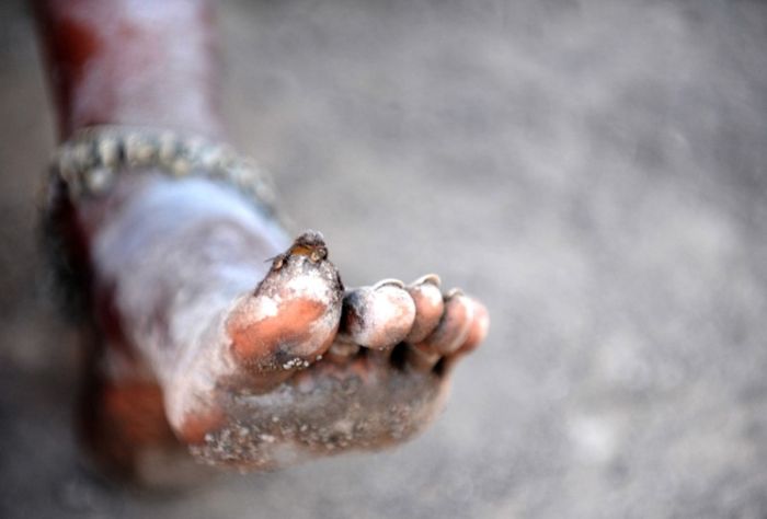 Добыча соли в Индии и Индонезии (28 фото)