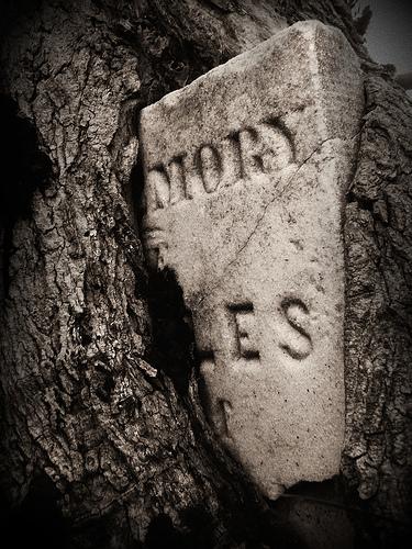 Интересные фотографии, сделанные на кладбищах (34 фото)