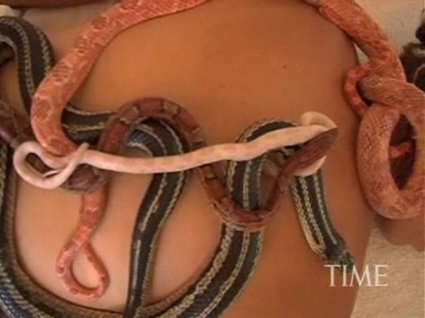 Змеиный массаж (13 фото)
