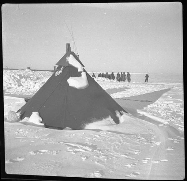 Арктическая экспедиция (25 фото)