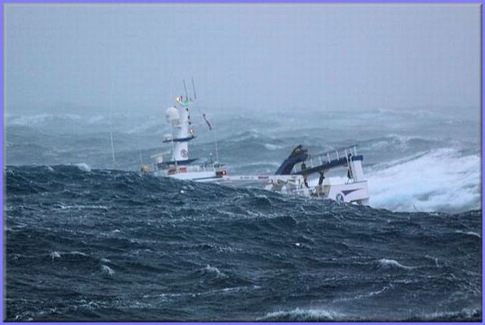 Рыболовецкое судно во время шторма (10 фото)