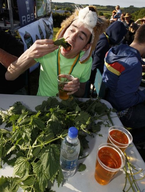 Чемпионат по поеданию крапивы (8 фото)