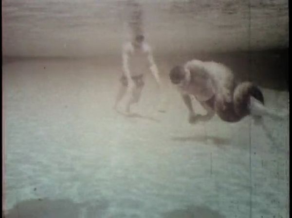 Борьба с 10-метровой анакондой под водой (19 фото + видео)