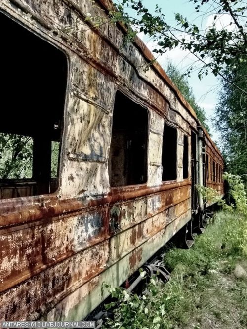 Заброшенные поезда (42 фото)
